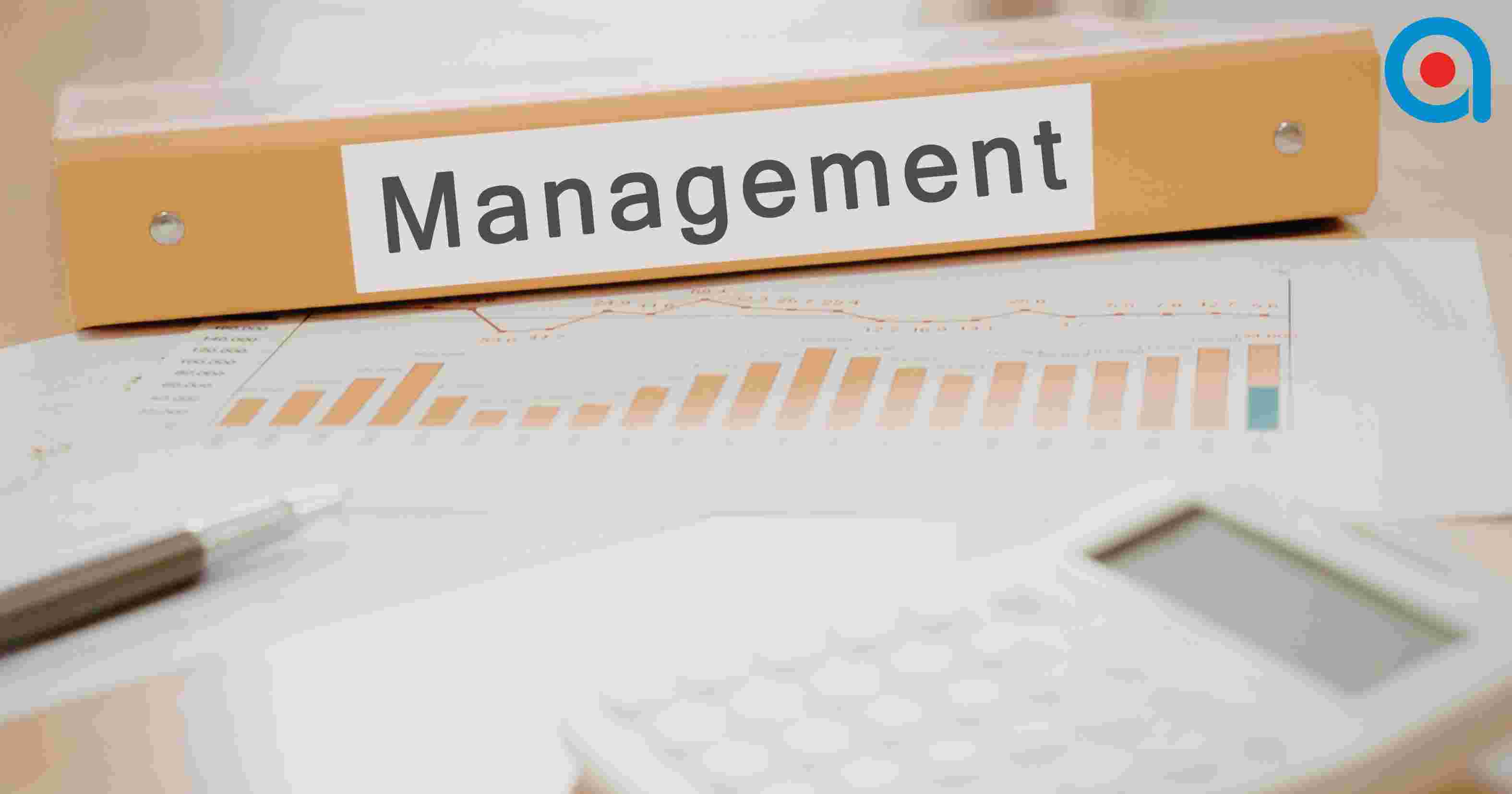 Management Vs Management Consultant