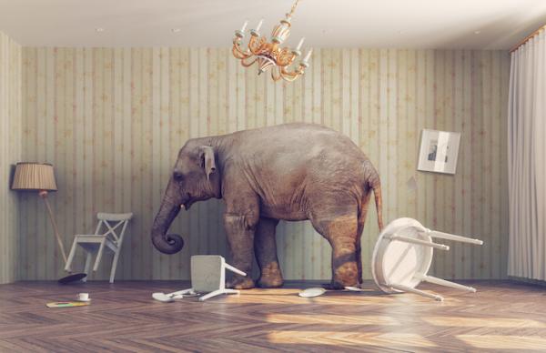 How do you deal with the elephant in the room?
